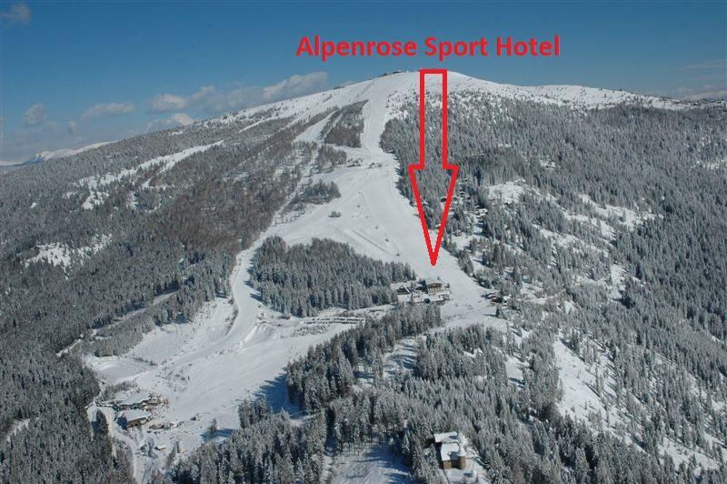 Hotel Alpenrose Treffen Buitenkant foto